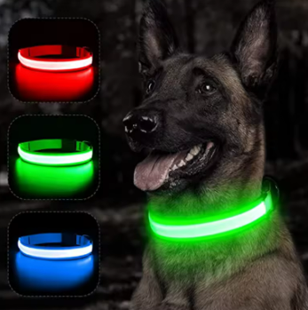 Collier LED fluorescent de sécurité pour animaux.