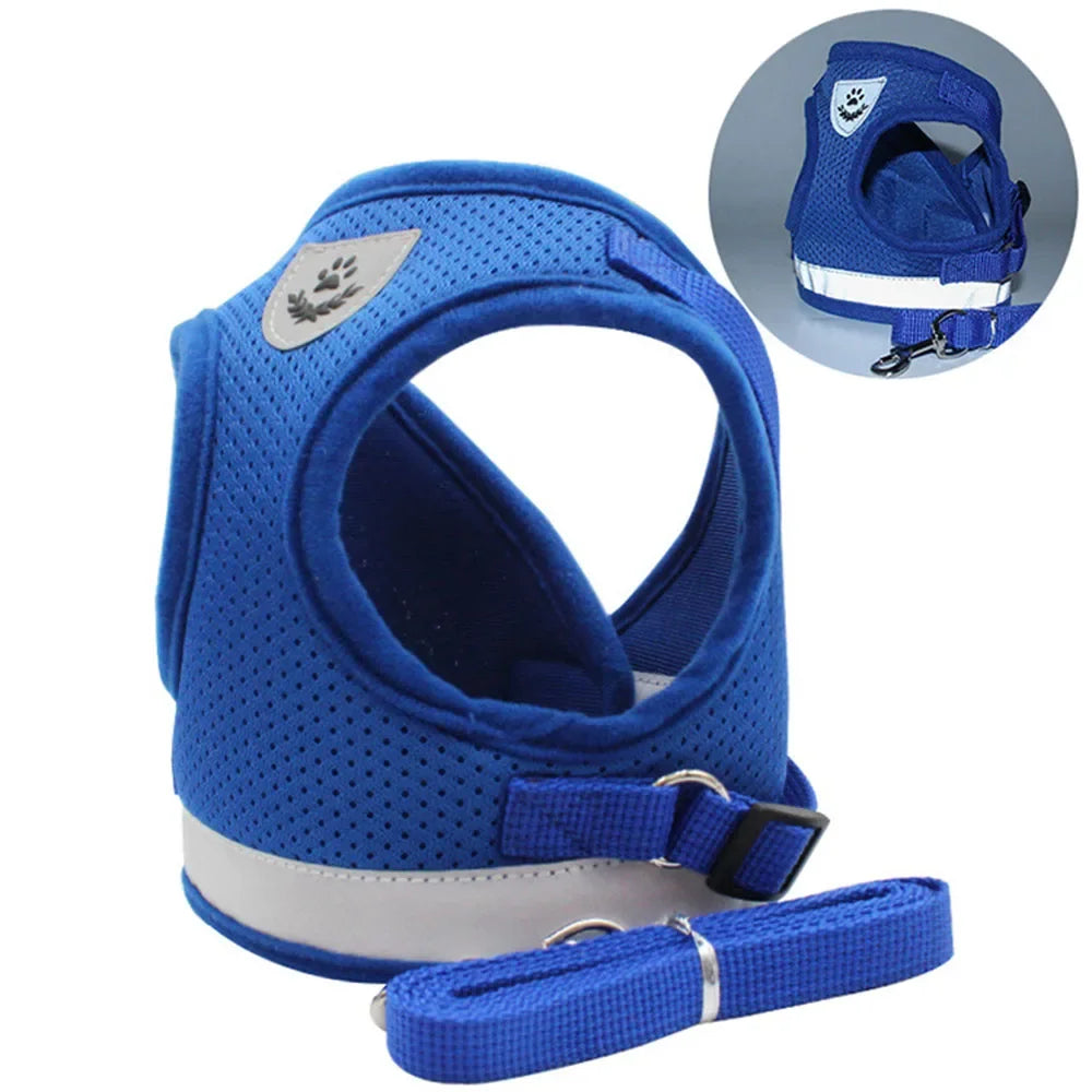 Harnais réglable pour Chat et Chien avec Laisse – Anti Evasion