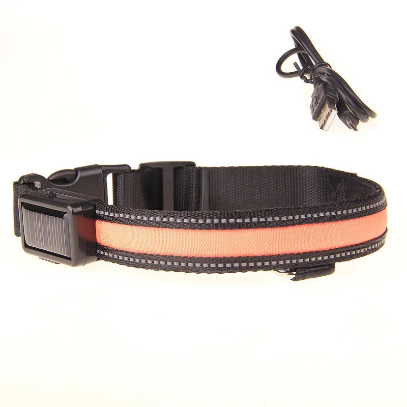 Collier LED fluorescent de sécurité pour animaux.