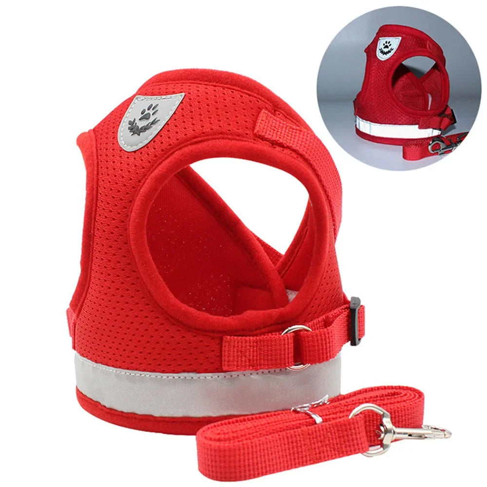 Harnais réglable pour Chat et Chien avec Laisse – Anti Evasion