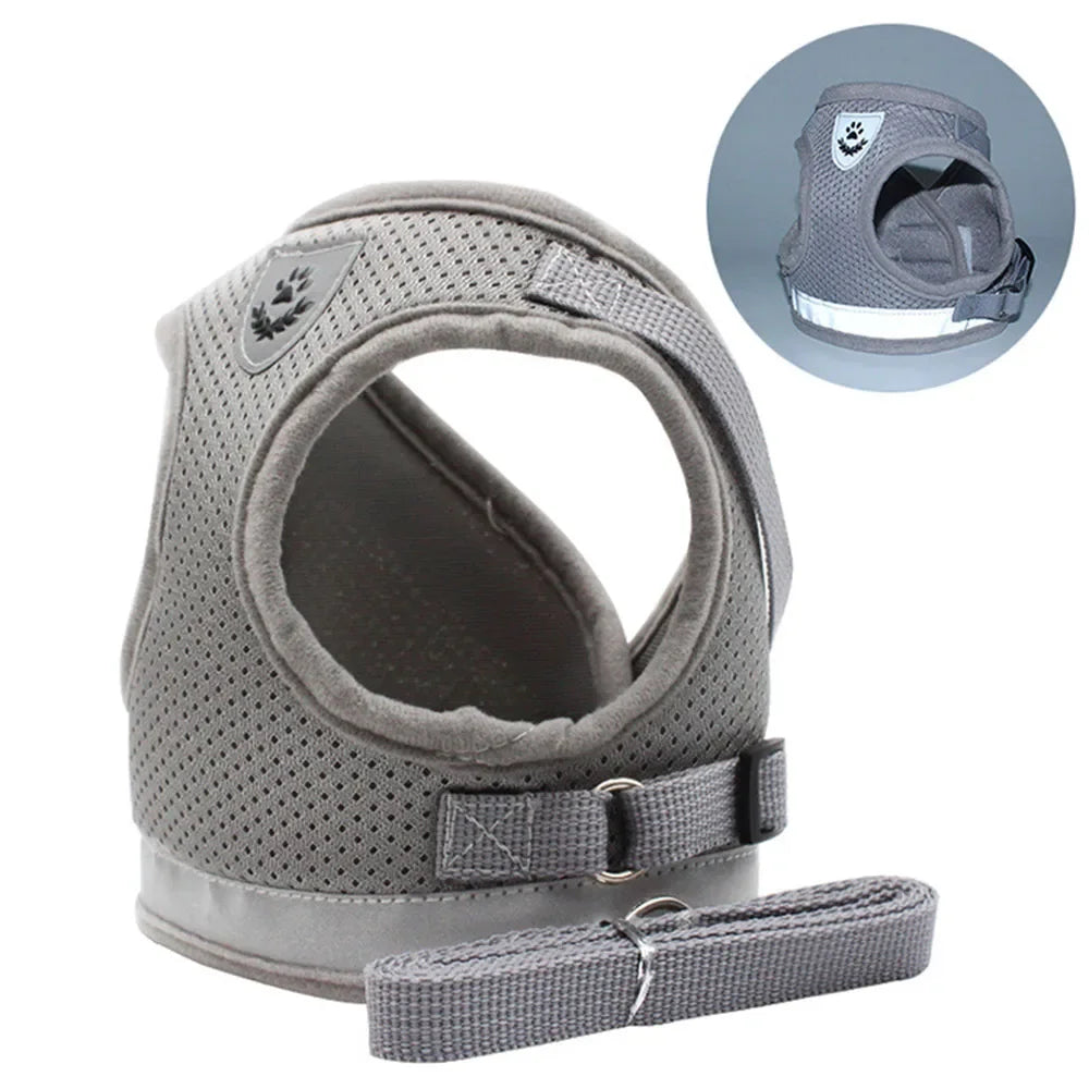 Harnais réglable pour Chat et Chien avec Laisse – Anti Evasion