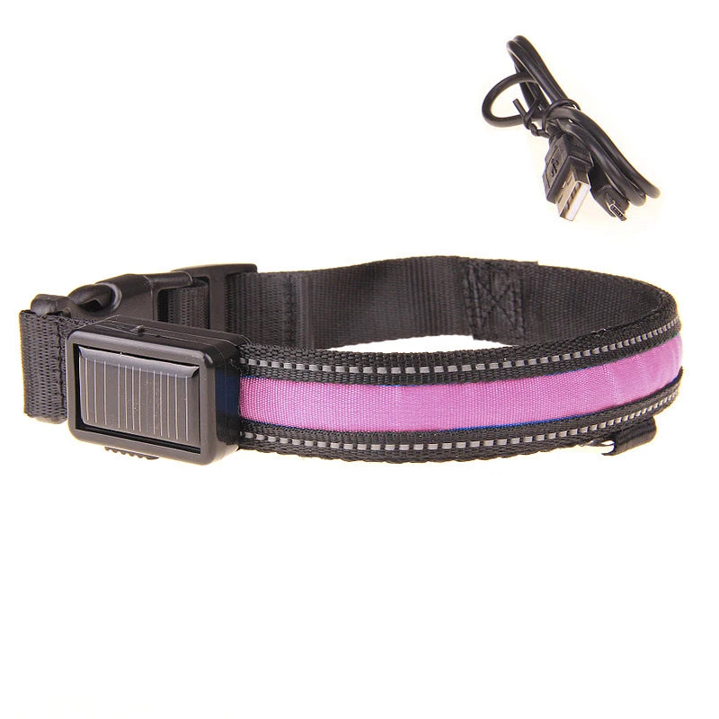 Collier LED fluorescent de sécurité pour animaux.