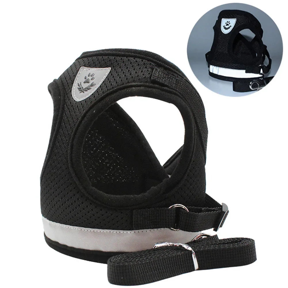 Harnais réglable pour Chat et Chien avec Laisse – Anti Evasion