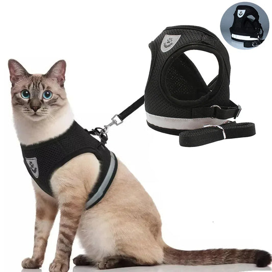 Harnais réglable pour Chat et Chien avec Laisse – Anti Evasion
