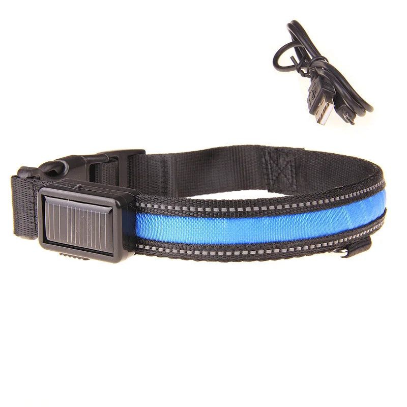 Collier LED fluorescent de sécurité pour animaux.