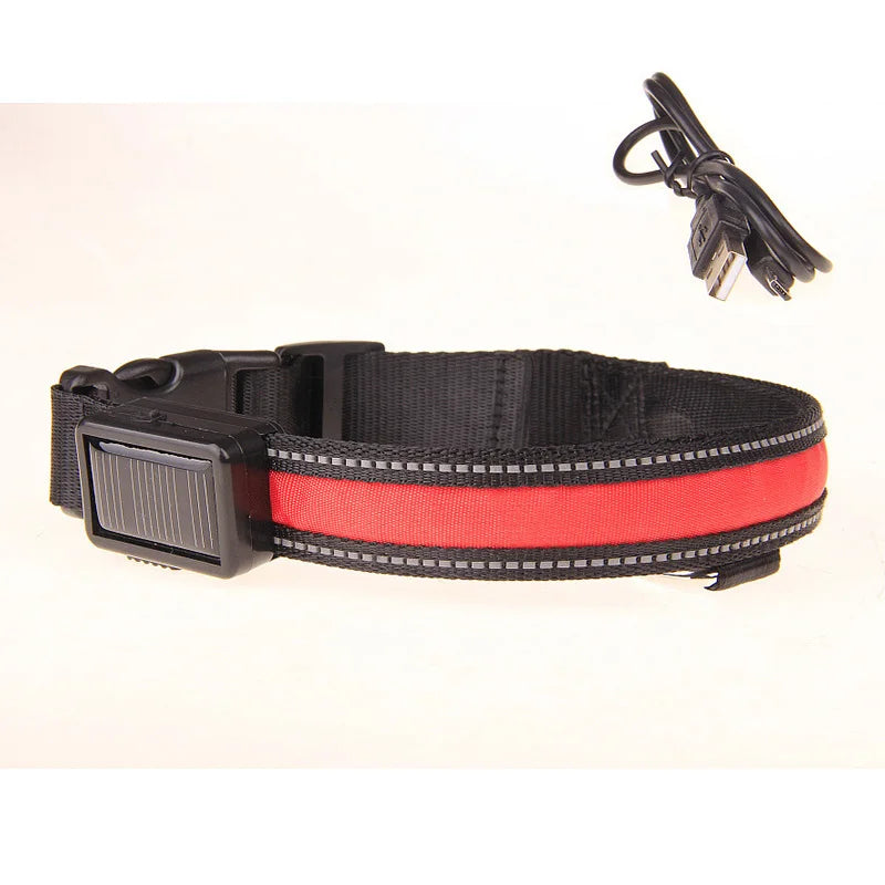 Collier LED fluorescent de sécurité pour animaux.