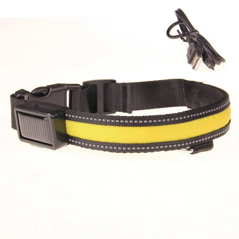 Collier LED fluorescent de sécurité pour animaux.