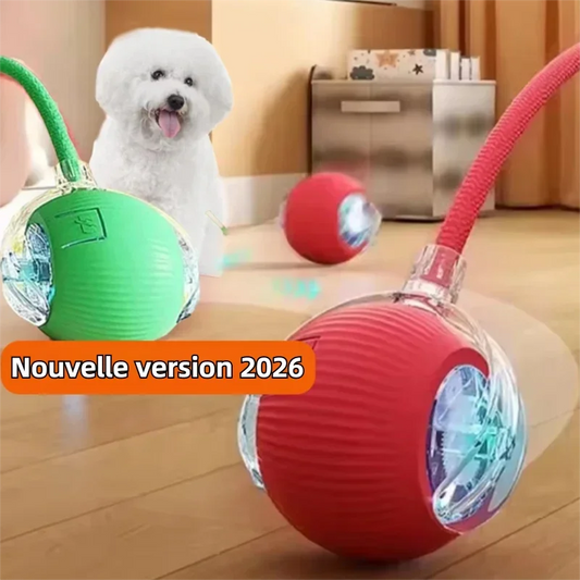 Balle interactive rechargeable pour chien – jouet automatique intelligent